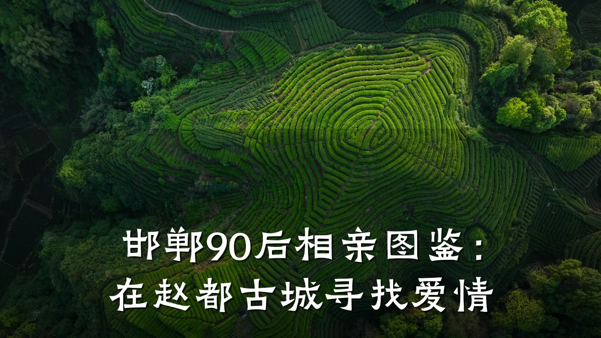 邯郸90后相亲图鉴:在赵都古城寻找爱情