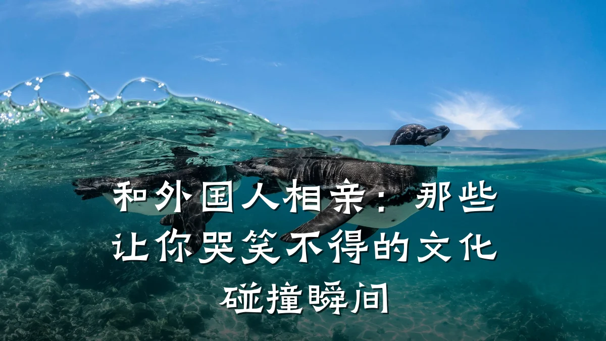 和外国人相亲:那些让你哭笑不得的文化碰撞瞬间