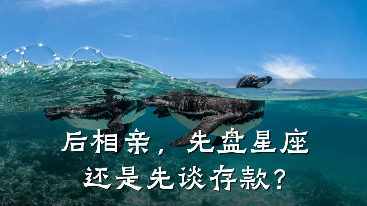 后相亲,先盘星座还是先谈存款?