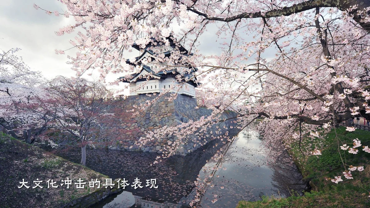 大文化冲击的具体表现