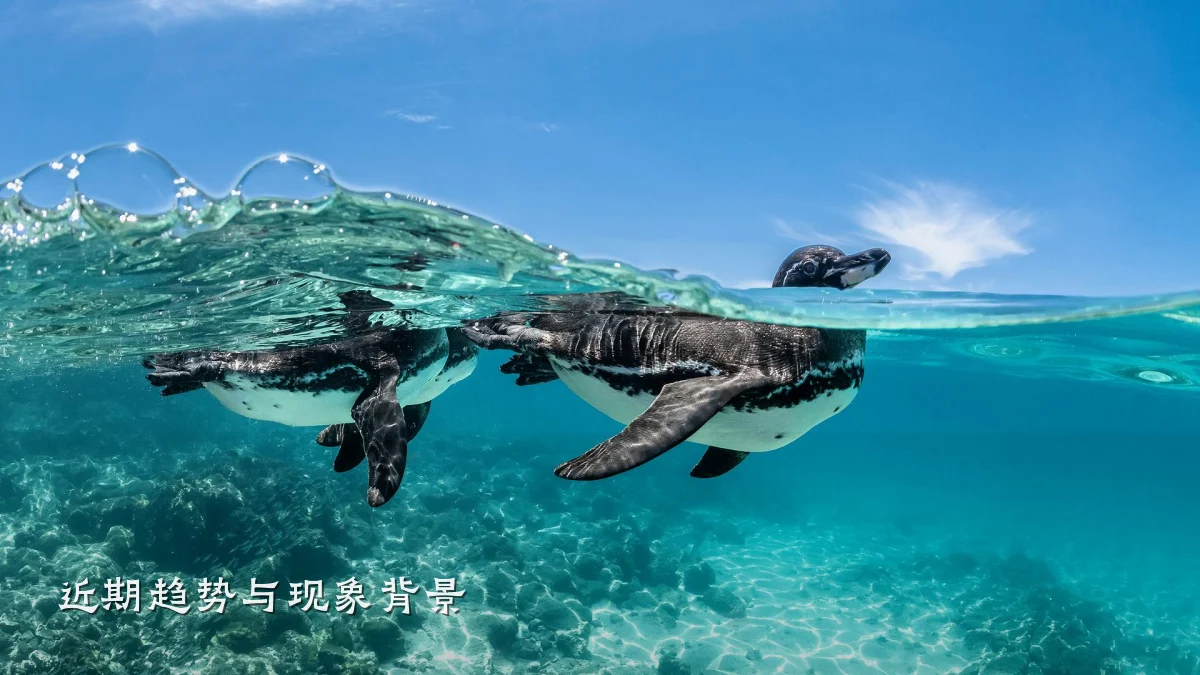 近期趋势与现象背景