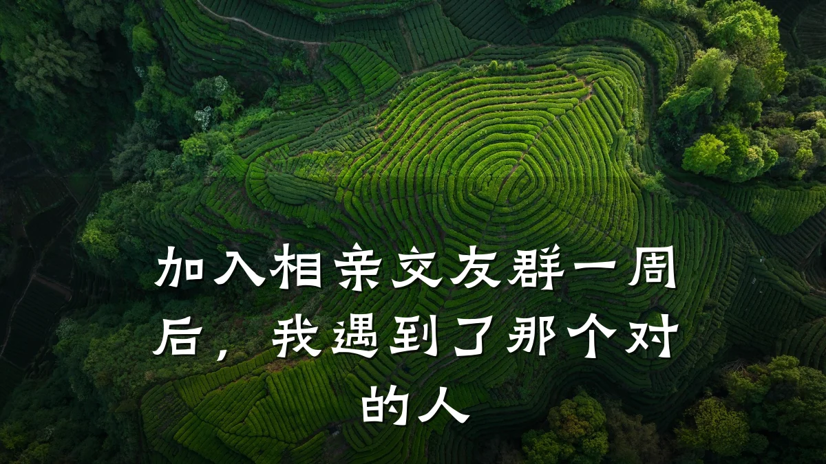 加入相亲交友群一周后,我遇到了那个对的人