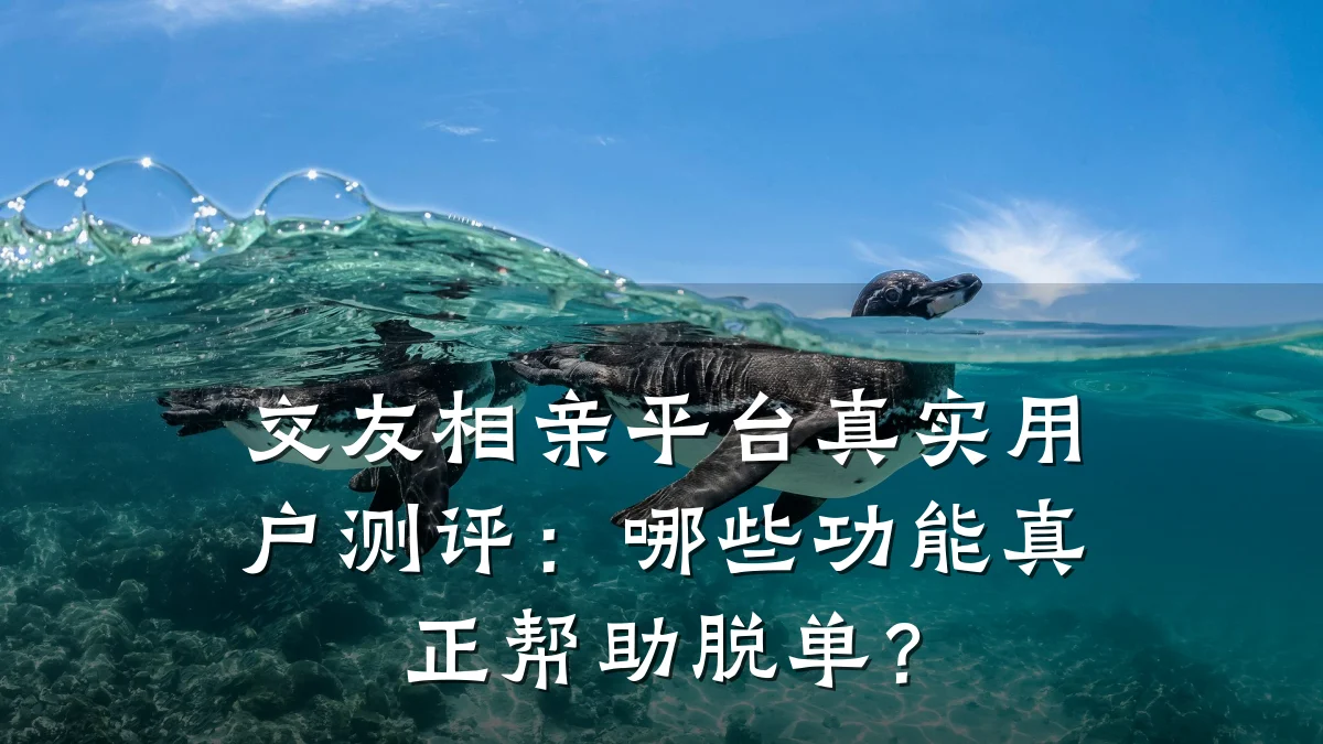 交友相亲平台真实用户测评:哪些功能真正帮助脱单?