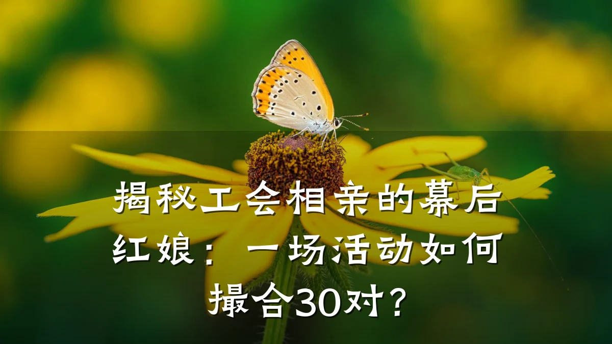 揭秘工会相亲的幕后红娘:一场活动如何撮合30对?