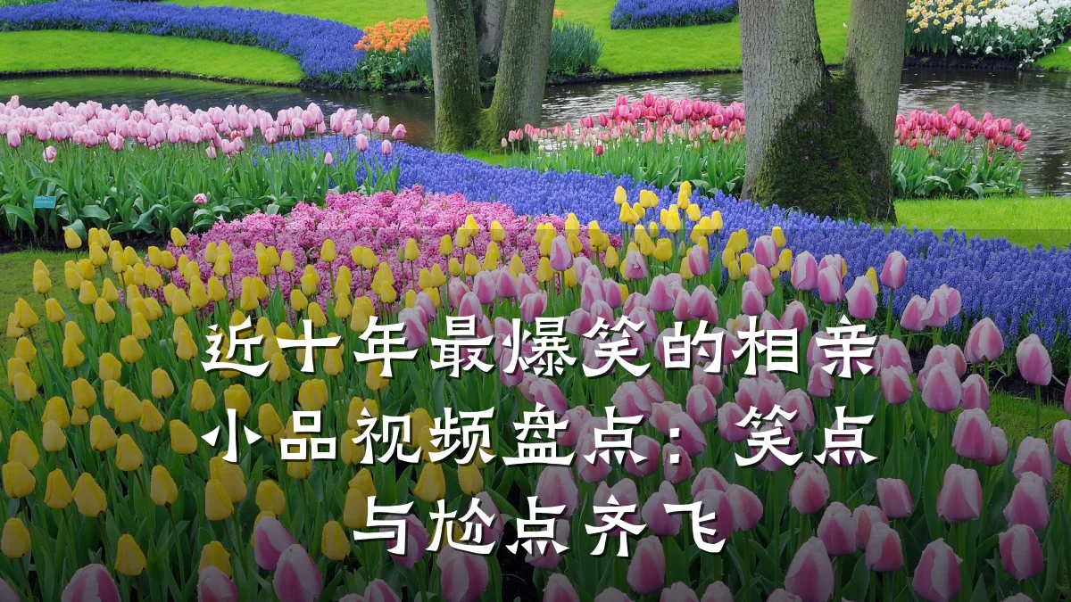 近十年最爆笑的相亲小品视频盘点:笑点与尬点齐飞
