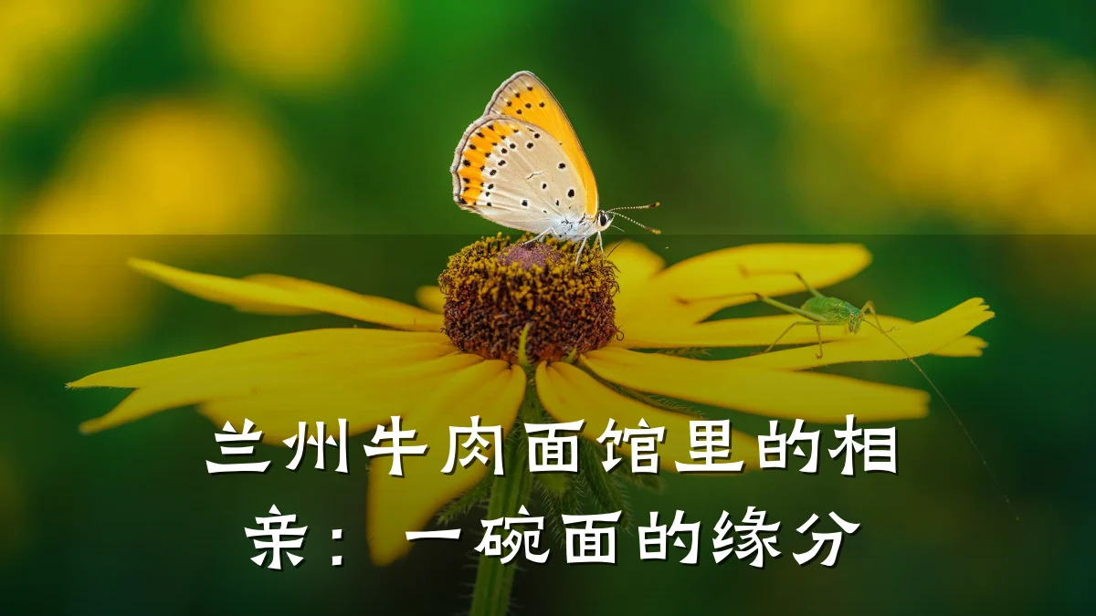 兰州牛肉面馆里的相亲:一碗面的缘分