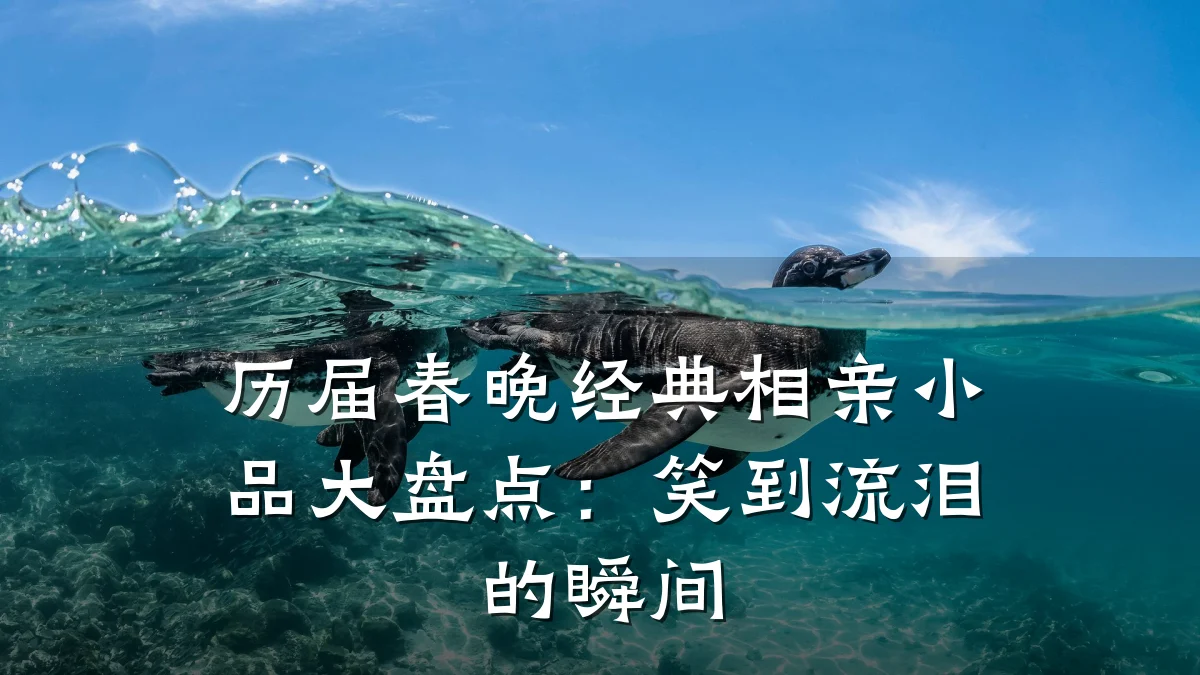 历届春晚经典相亲小品大盘点:笑到流泪的瞬间