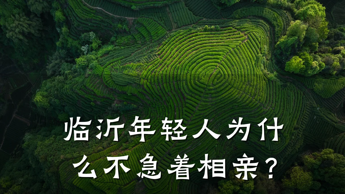 临沂年轻人为什么不急着相亲?