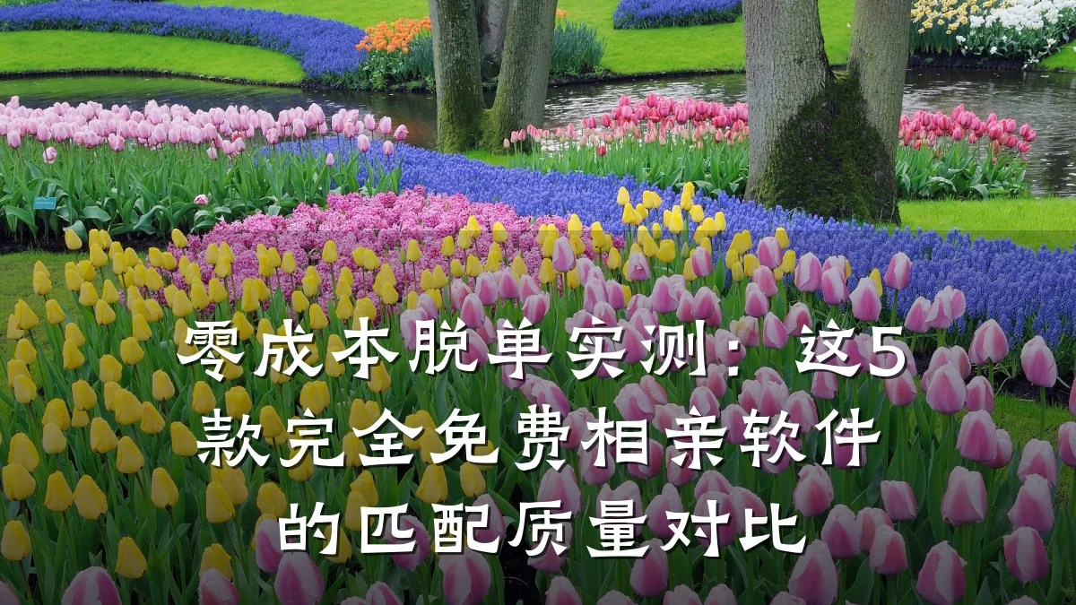 零成本脱单实测:这5款完全免费相亲软件的匹配质量对比