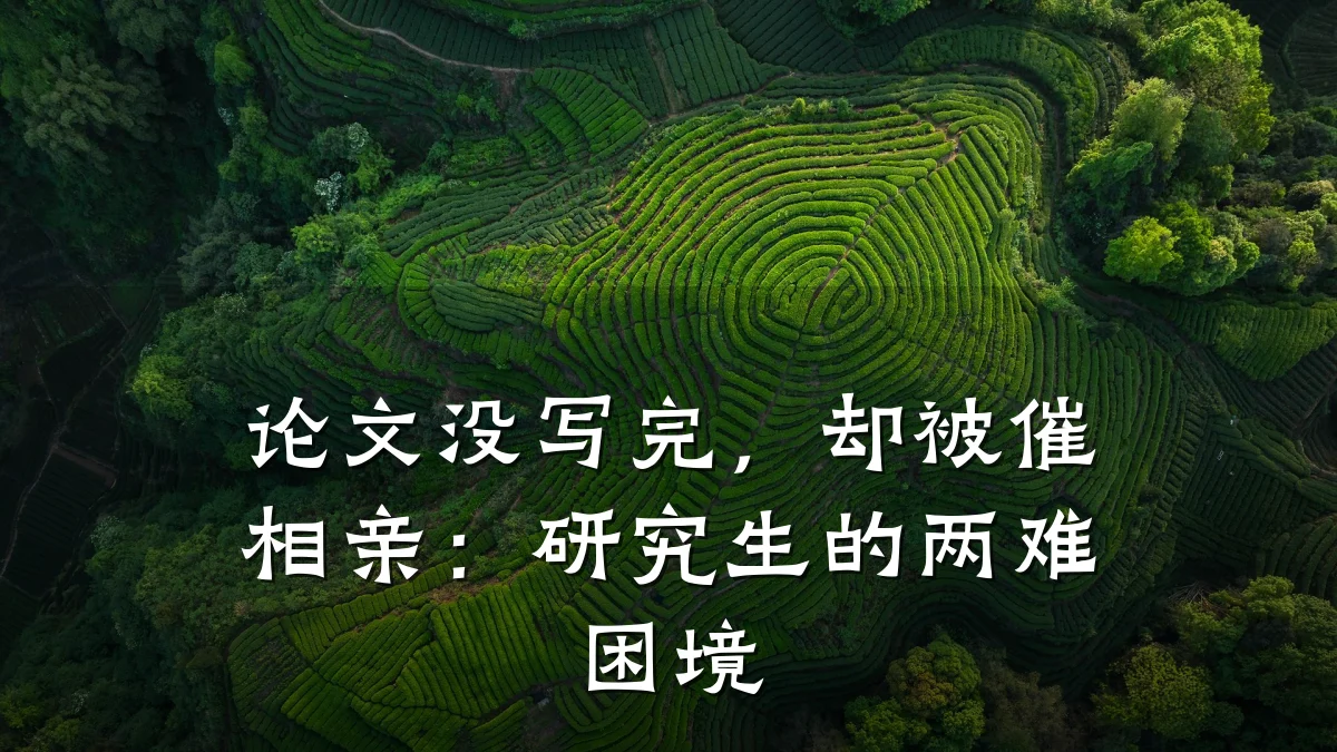论文没写完,却被催相亲:研究生的两难困境