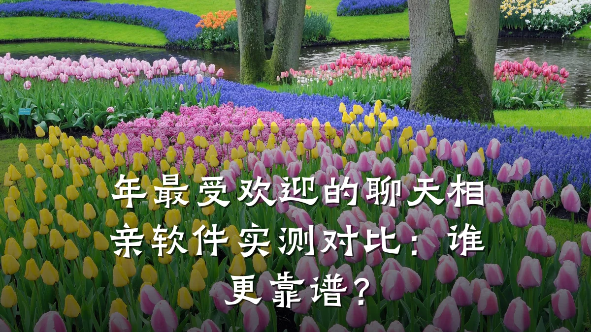 年最受欢迎的聊天相亲软件实测对比:谁更靠谱?