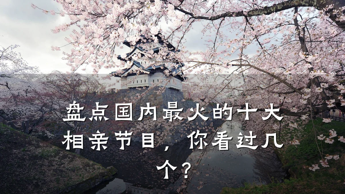 盘点国内最火的十大相亲节目,你看过几个?