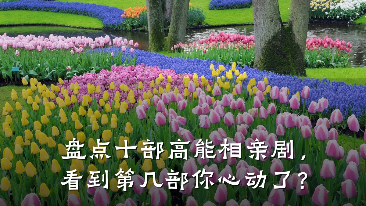 盘点十部高能相亲剧,看到第几部你心动了?