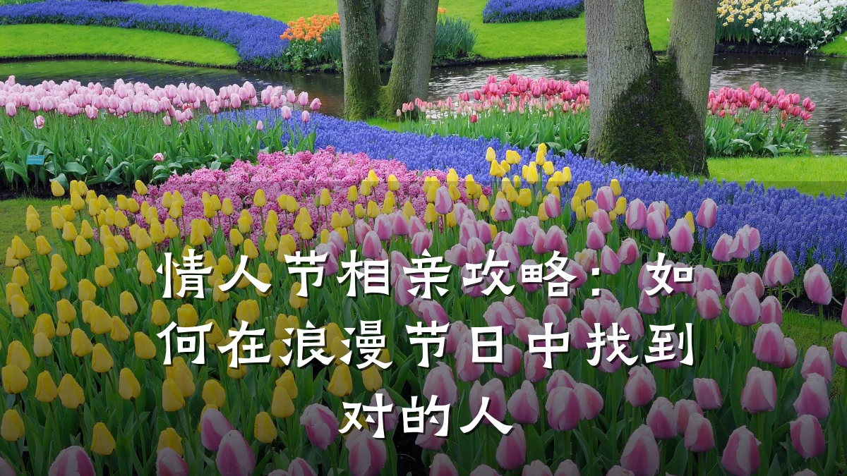 情人节相亲攻略:如何在浪漫节日中找到对的人