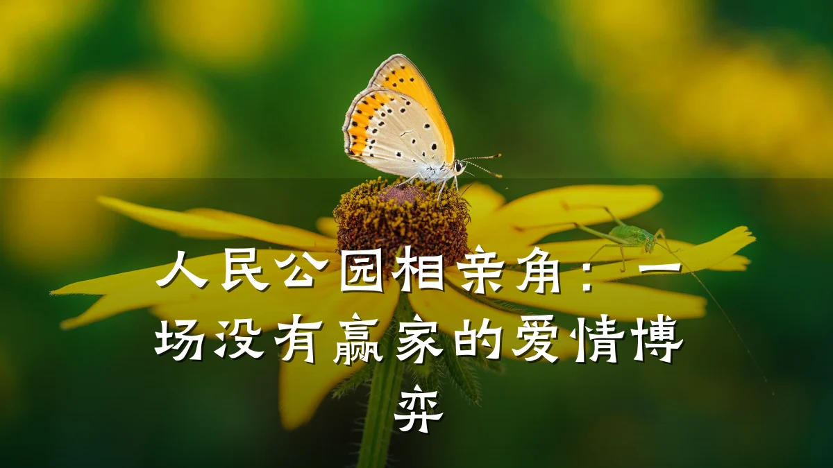 人民公园相亲角:一场没有赢家的爱情博弈