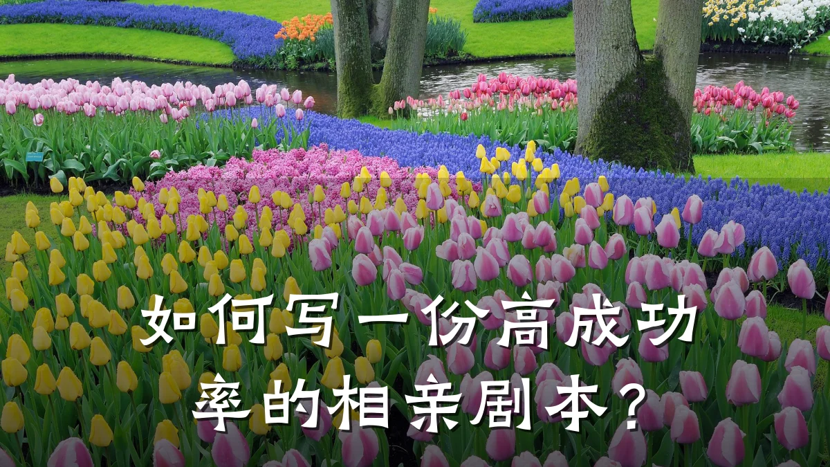 如何写一份高成功率的相亲剧本?