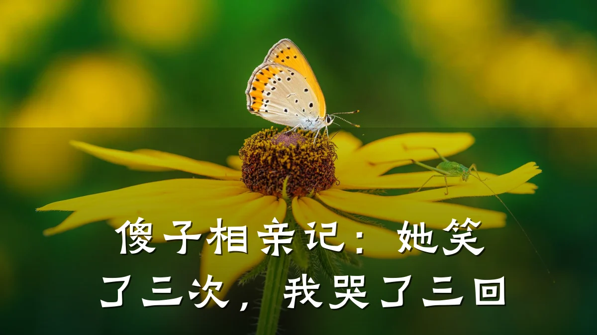 傻子相亲记:她笑了三次,我哭了三回