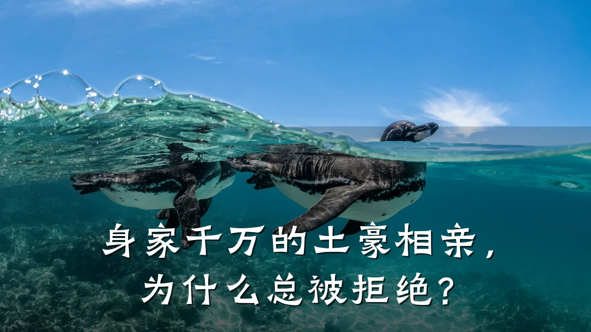 身家千万的土豪相亲,为什么总被拒绝?