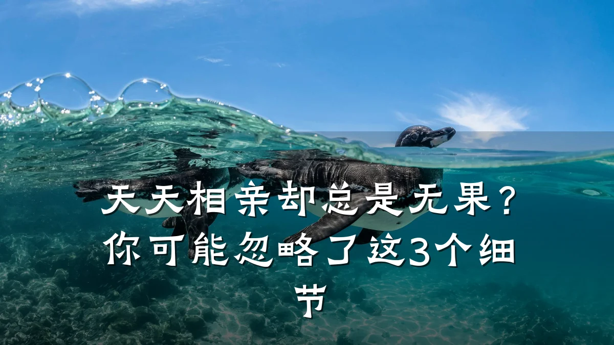 天天相亲却总是无果?你可能忽略了这3个细节