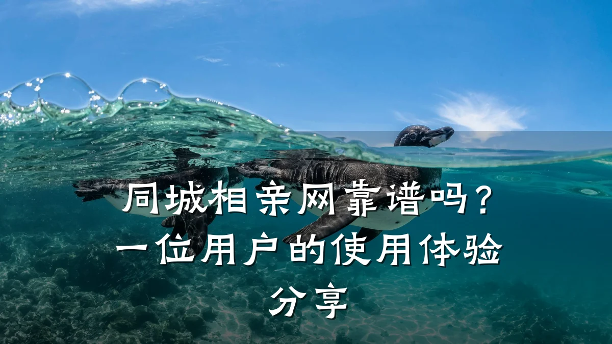 同城相亲网靠谱吗?一位用户的使用体验分享