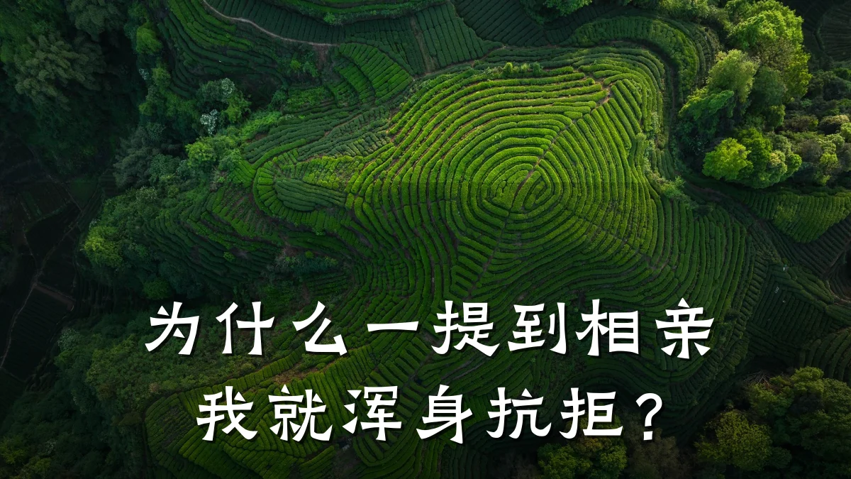 为什么一提到相亲我就浑身抗拒?