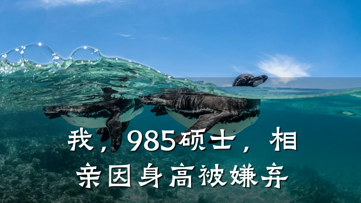 我,985硕士,相亲因身高被嫌弃