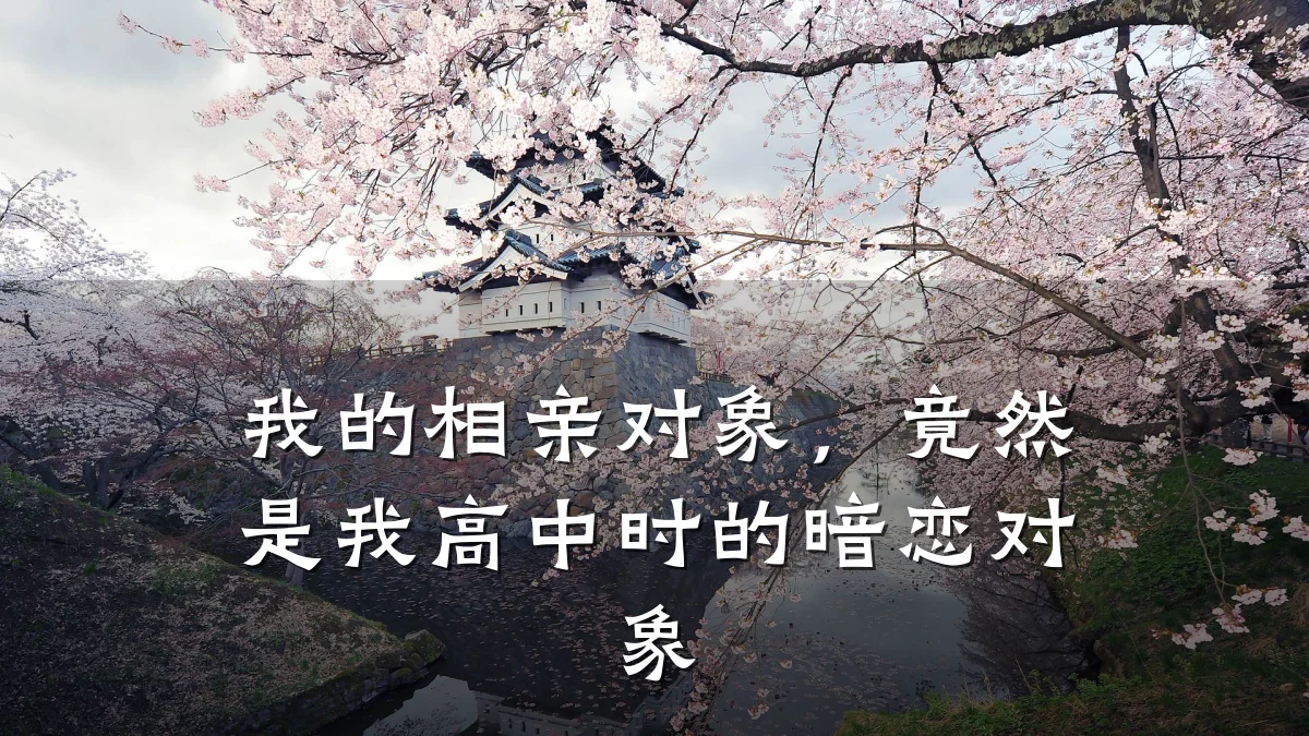 我的相亲对象,竟然是我高中时的暗恋对象