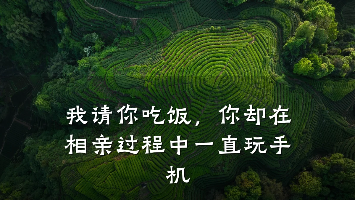我请你吃饭,你却在相亲过程中一直玩手机