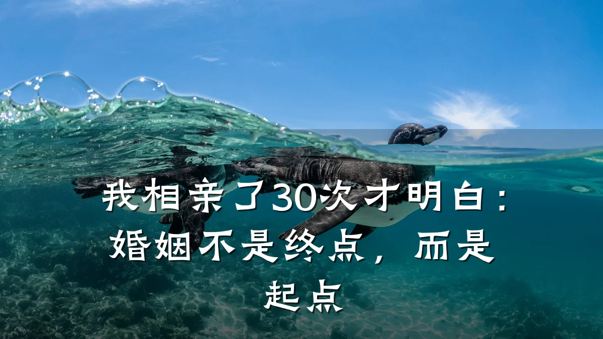 我相亲了30次才明白:婚姻不是终点,而是起点