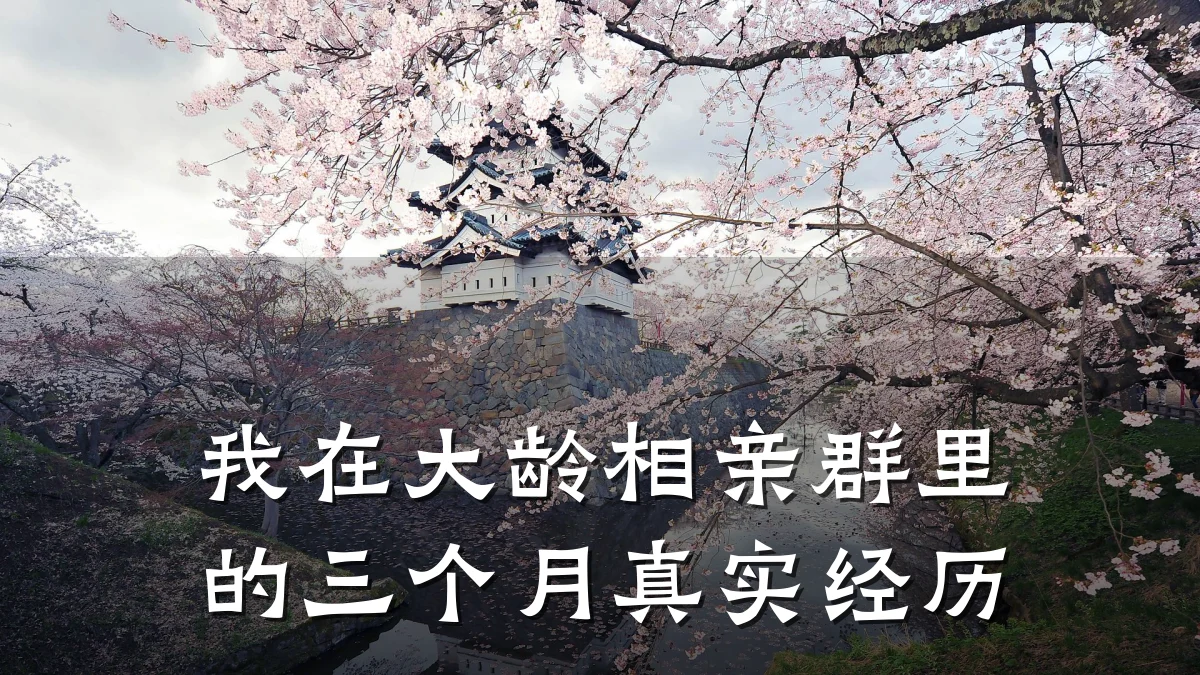 我在大龄相亲群里的三个月真实经历