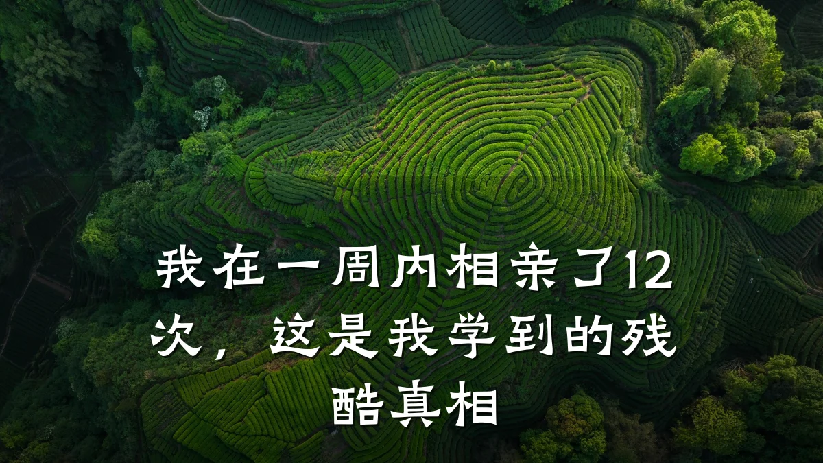 我在一周内相亲了12次,这是我学到的残酷真相