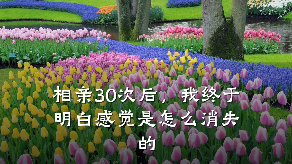 相亲30次后,我终于明白感觉是怎么消失的