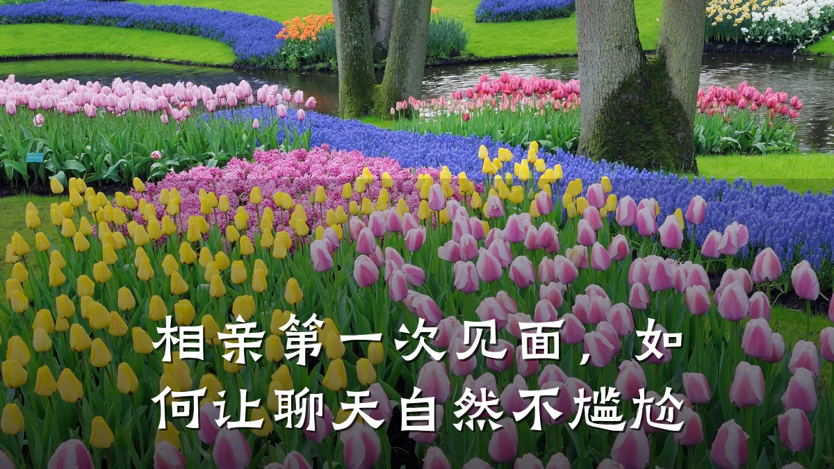 相亲第一次见面，如何让聊天自然不尴尬