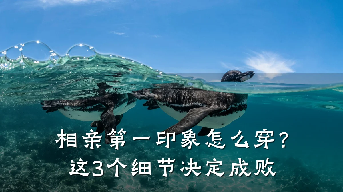 相亲第一印象怎么穿?这3个细节决定成败