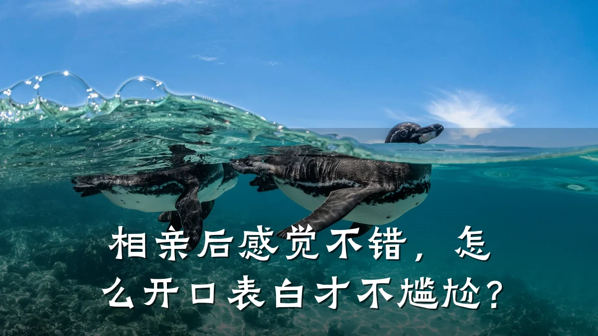 相亲后感觉不错,怎么开口表白才不尴尬?