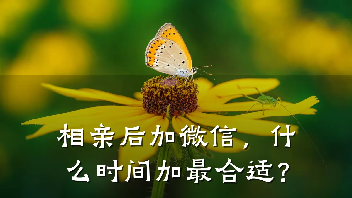 相亲后加微信,什么时间加最合适?