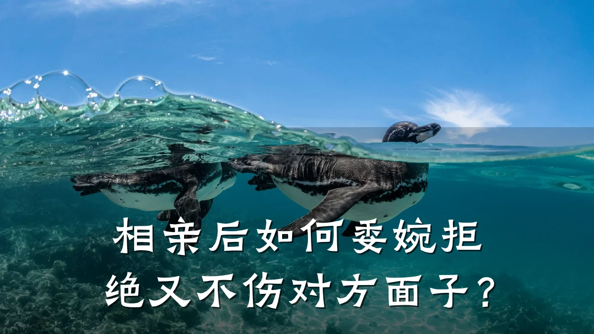 相亲后如何委婉拒绝又不伤对方面子?