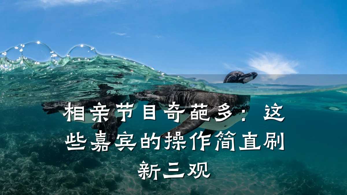 相亲节目奇葩多:这些嘉宾的操作简直刷新三观