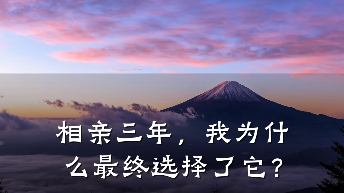 相亲三年,我为什么最终选择了它?