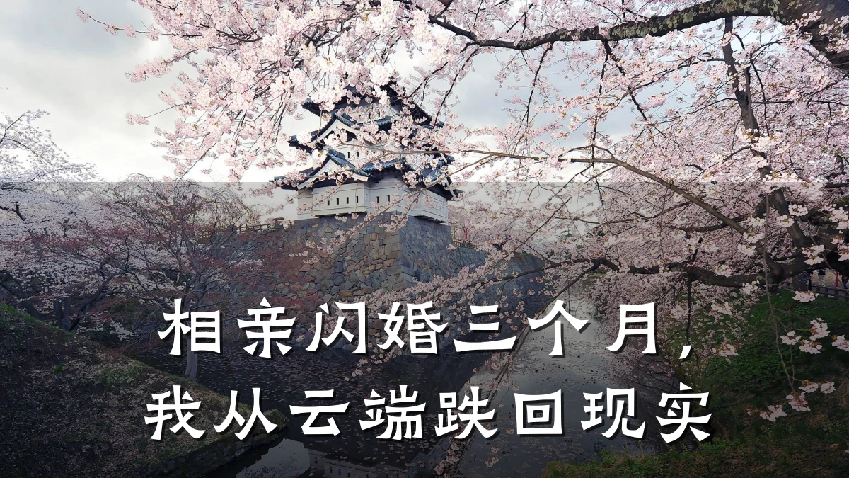 相亲闪婚三个月,我从云端跌回现实