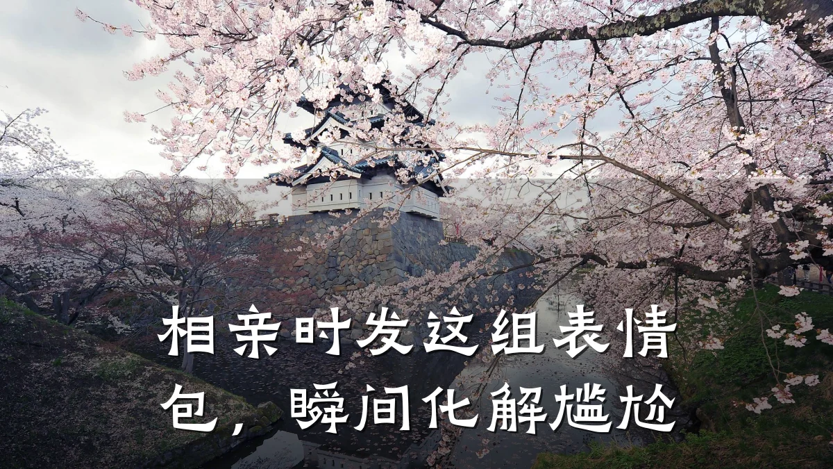 相亲时发这组表情包,瞬间化解尴尬