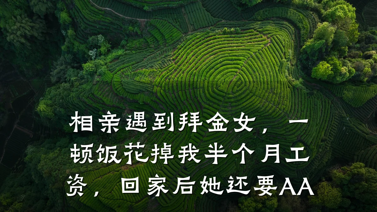 相亲遇到拜金女，一顿饭花掉我半个月工资，回家后她还要AA