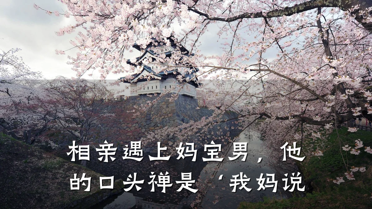 相亲遇上妈宝男,他的口头禅是‘我妈说