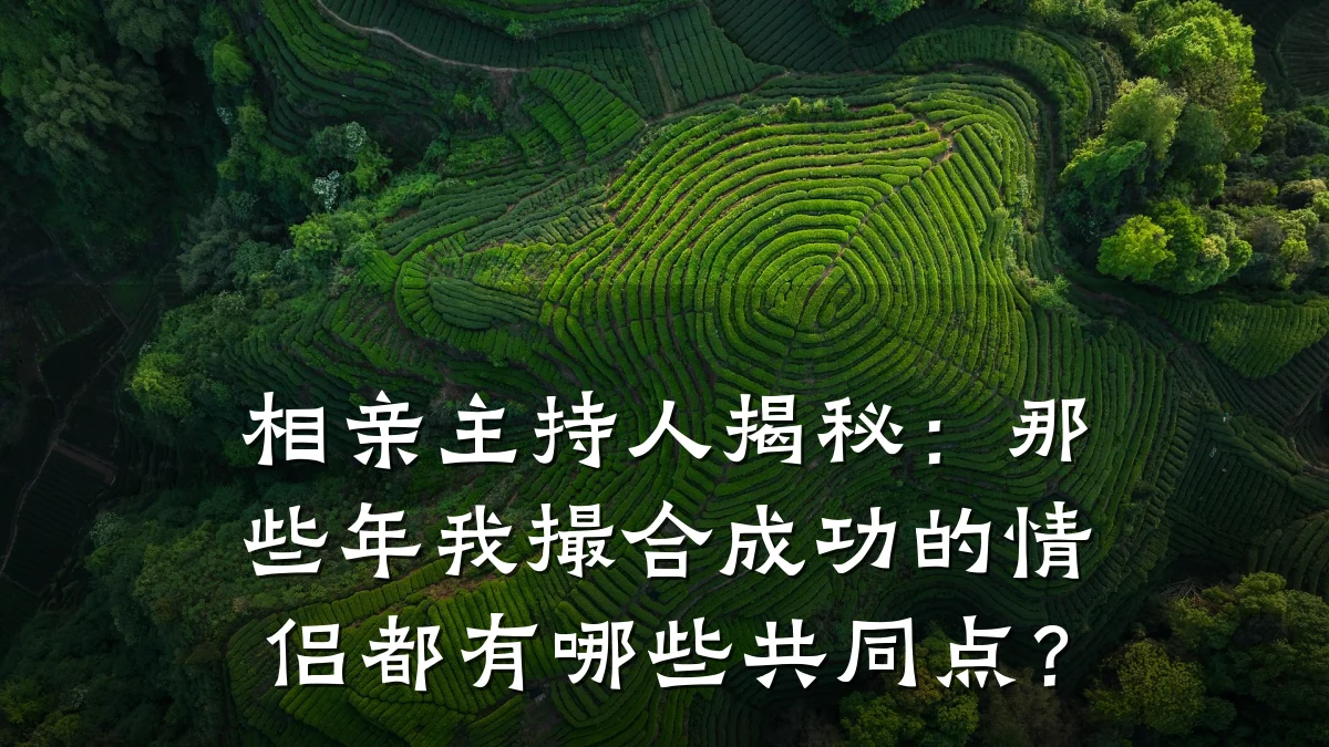 相亲主持人揭秘:那些年我撮合成功的情侣都有哪些共同点?