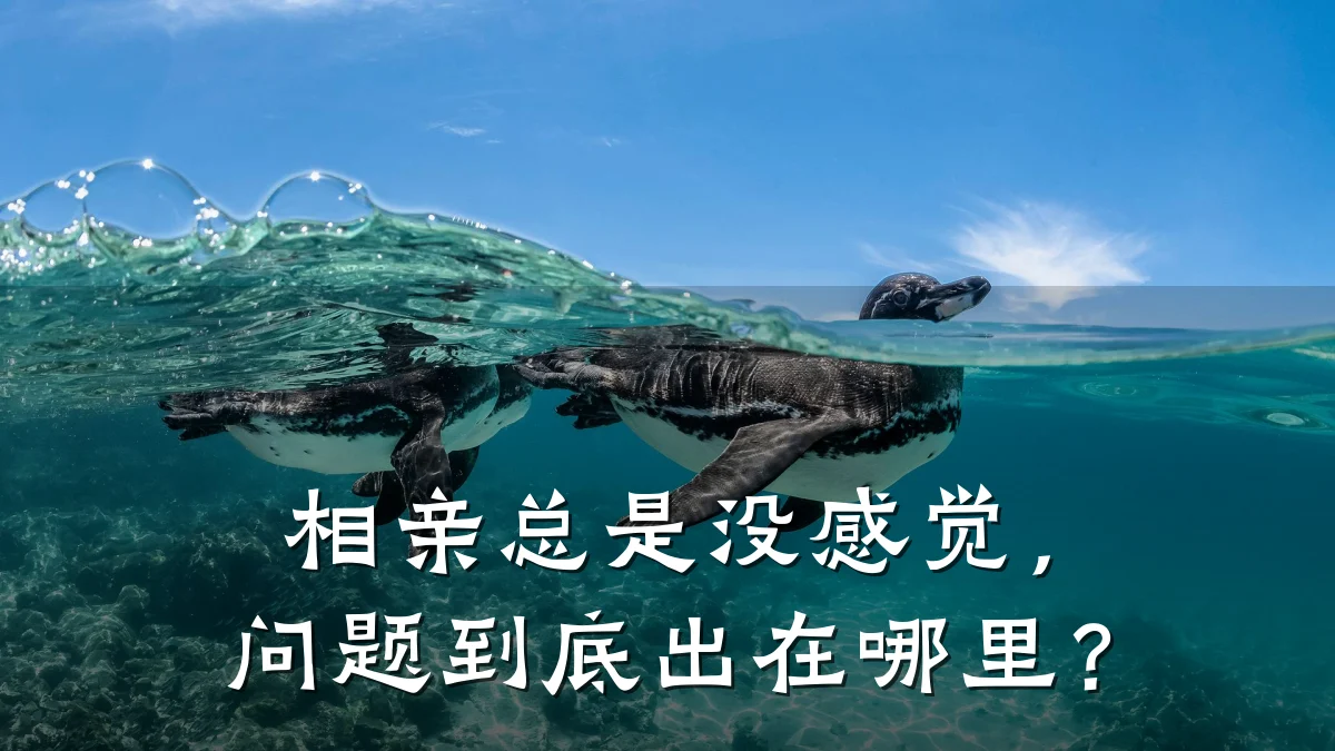 相亲总是没感觉,问题到底出在哪里?