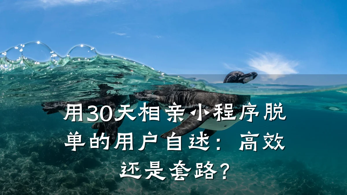 用30天相亲小程序脱单的用户自述:高效还是套路?