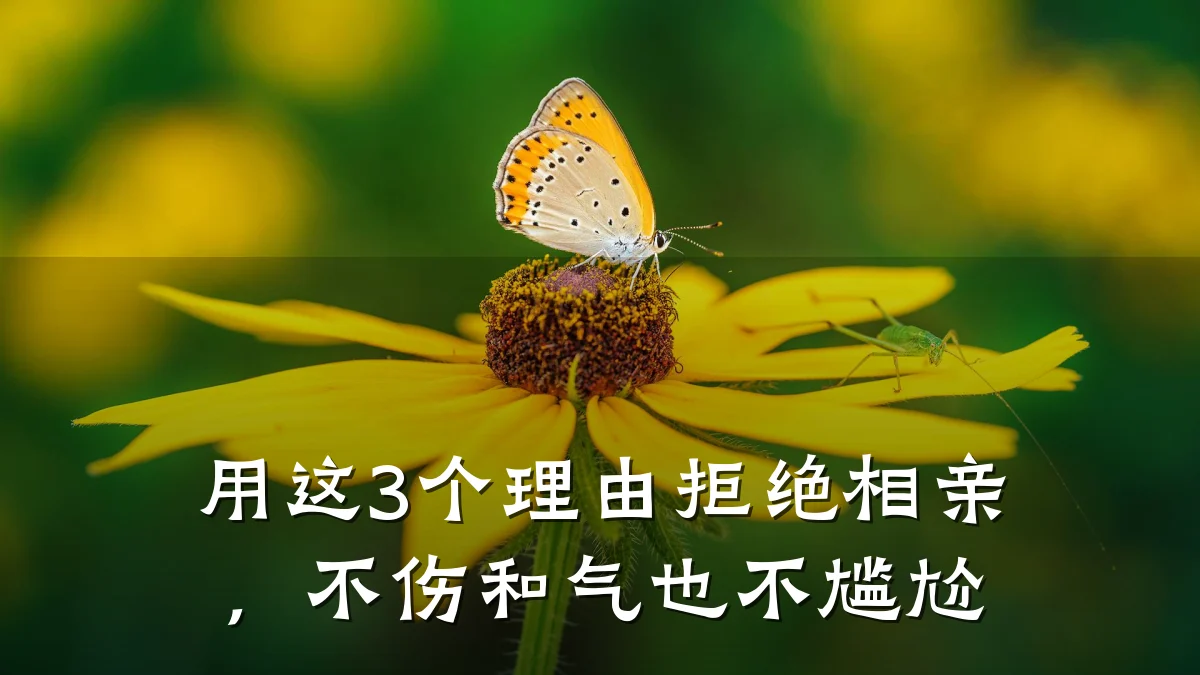 用这3个理由拒绝相亲,不伤和气也不尴尬