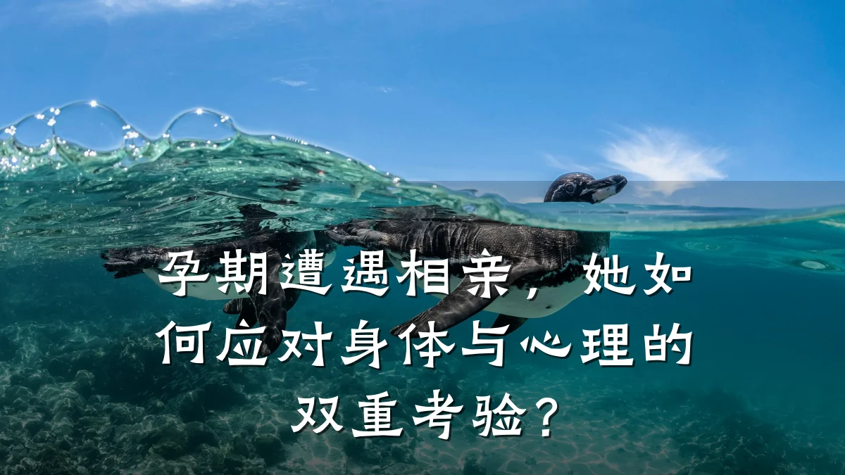 孕期遭遇相亲,她如何应对身体与心理的双重考验?