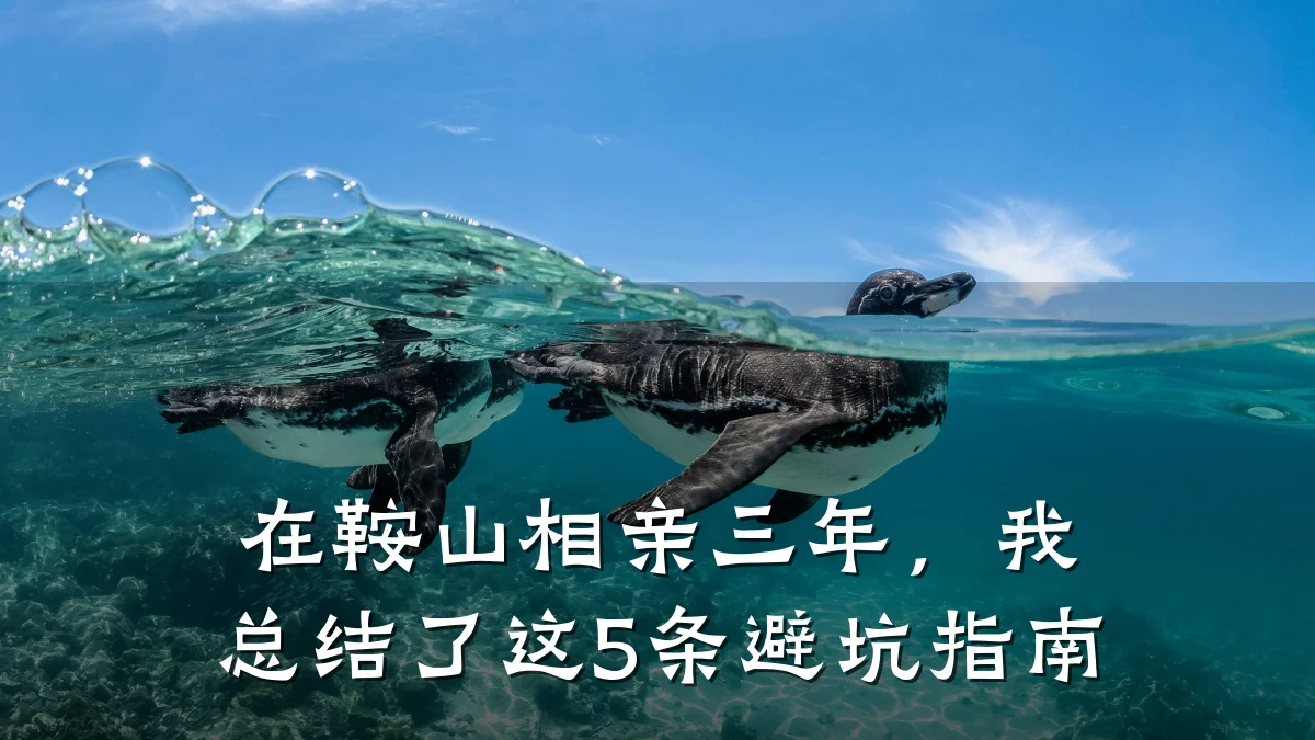 在鞍山相亲三年,我总结了这5条避坑指南