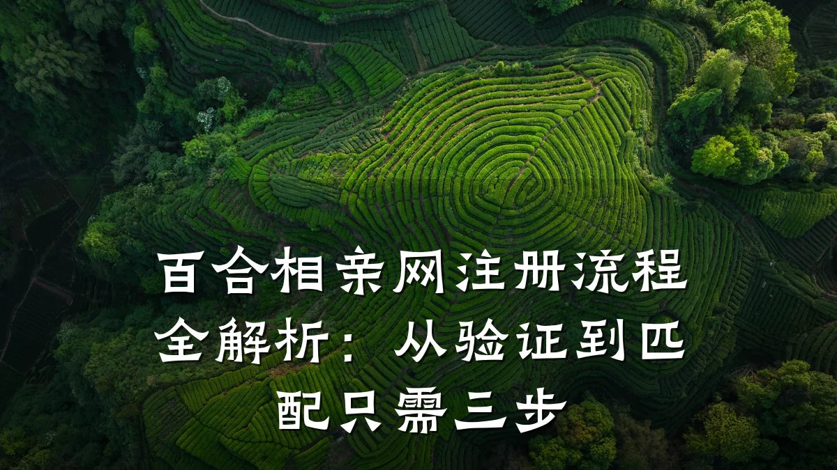 百合相亲网注册流程全解析:从验证到匹配只需三步